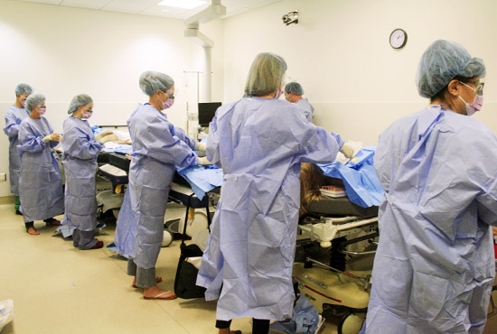 Medical professionals lined up in scrubs facing row of exam tables